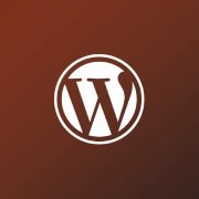 WordPress Developer New Project 5 atulcodex